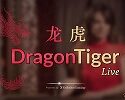 dragon tiger